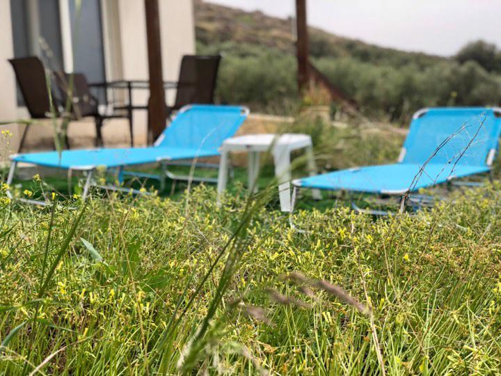 Villa Oniro Kreta Kalamáki Kültér fotó